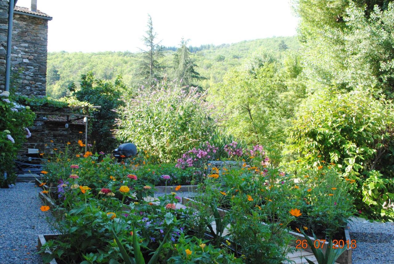 Alberguiere - Piscine Chauffee - Plancha - Barbecue Sainte-Croix-Vallee-Francaise Zewnętrze zdjęcie